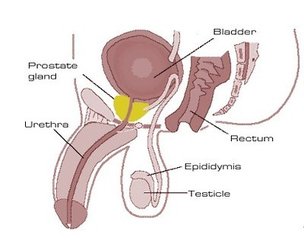 ��ͷ����������ô��